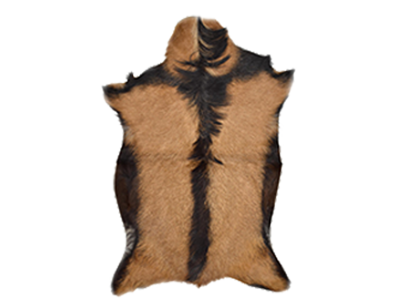 JAEL GOAT HIDE PELTS